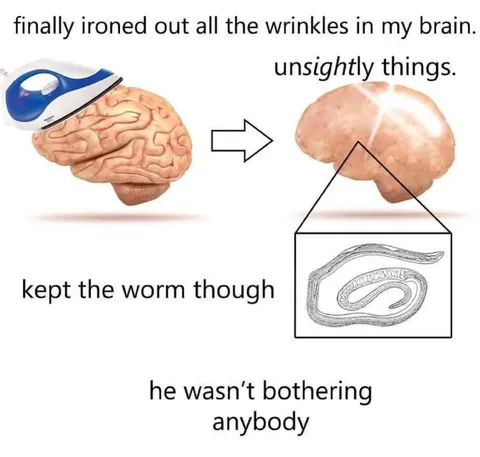 Ironed Brain Kept the Worm