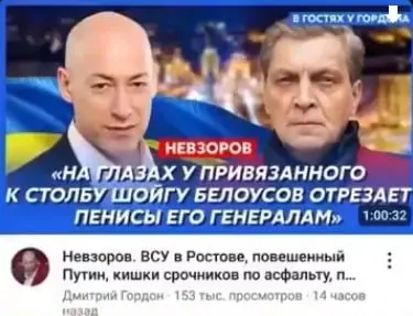 Невзоров про генералов Шойгу