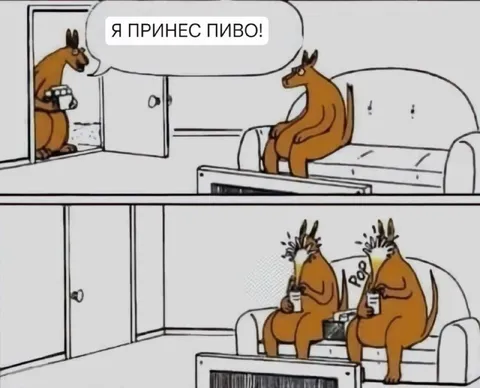 Я принес пиво