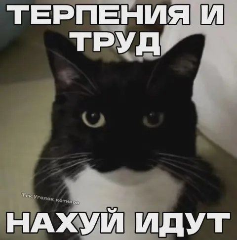 Терпения и труда нахуй идут