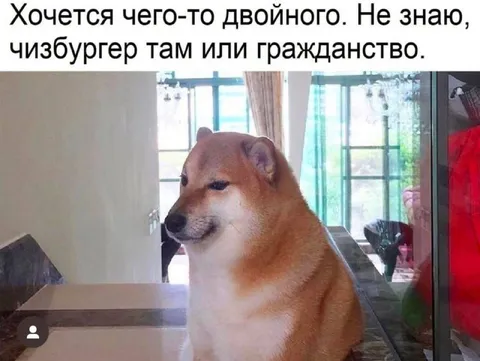Двойное желание: чизбургер или гражданство