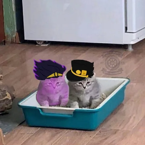 Котята в военных фуражках