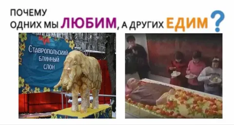 Почему одних любим, а других едим