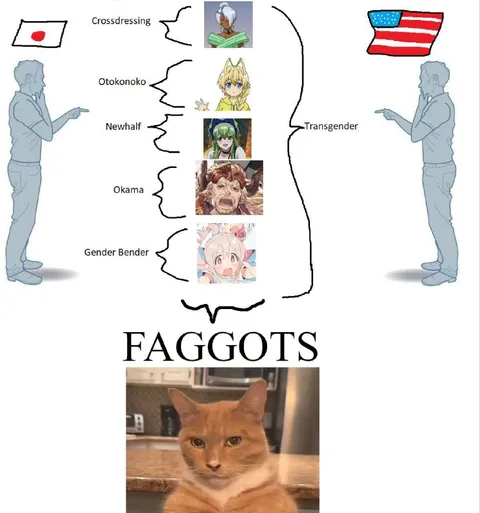 Gender Terms Explained by a Cat