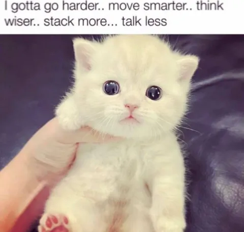 I Gotta Go Harder
