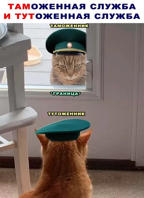 Таможенник и тутоженник