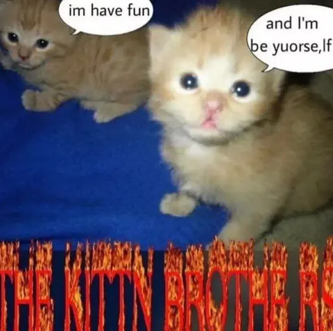 The Kitty Brothers