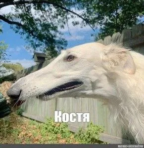 Костя смотрит вдаль