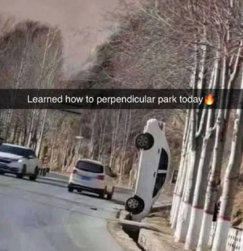Perpendicular Parking Mastery