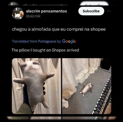 Almofada da Shopee chegou