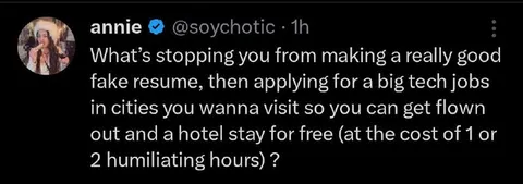 Fake Resume Free Hotel Strategy