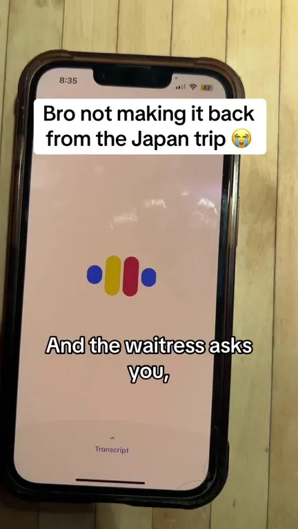 Japan Trip Translation Disaster