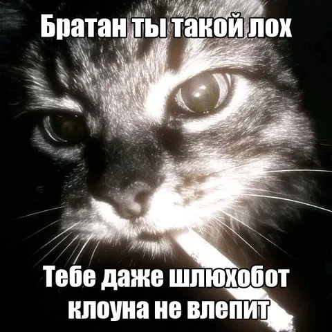 Братан, ты такой лох