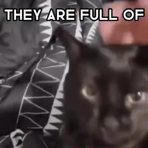 Black Cat Likes Bananas