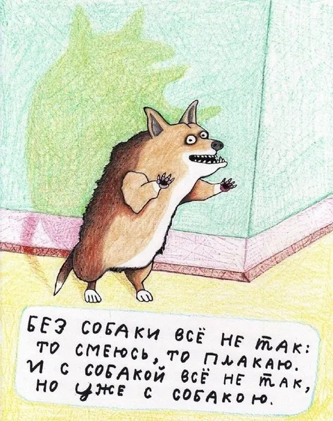 Без собаки всё не так