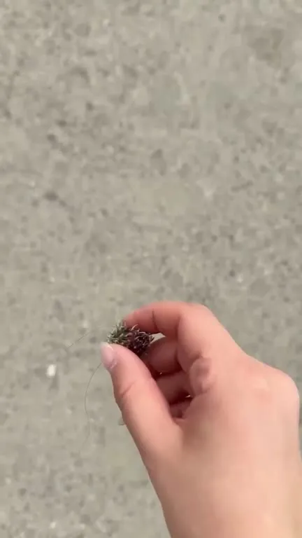 Шапка из репейника