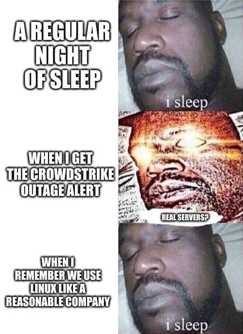 CrowdStrike Outage Linux Sleep Meme