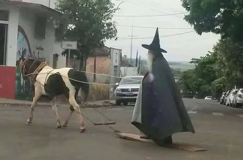 Cow Wizard Walks Through Town