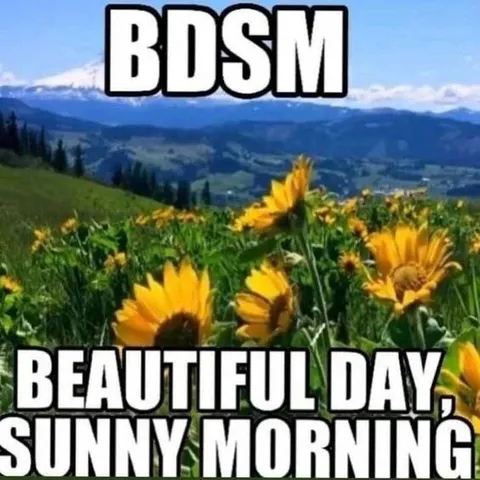 BDSM Beautiful Day Sunny Morning