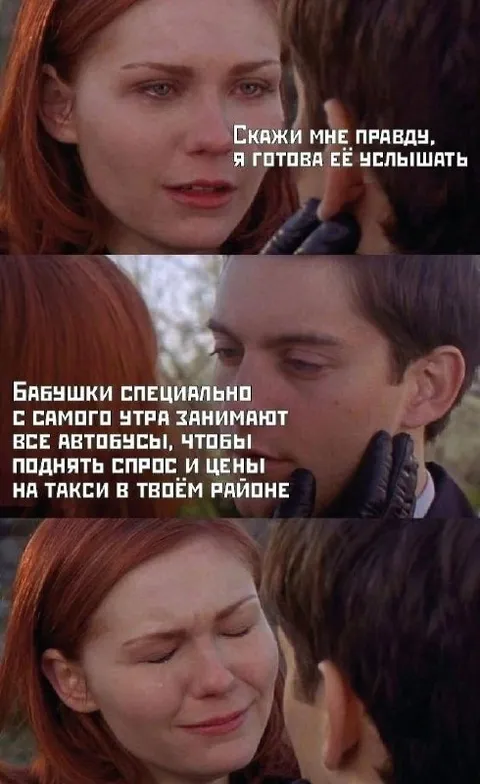 Скажи мне правду про автобусы