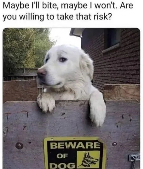Maybe I’ll Bite, Maybe Not