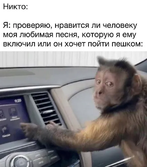 Проверяю любимую песню