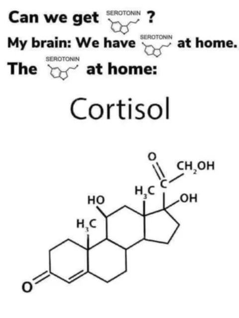 Serotonin at Home Is Cortisol
