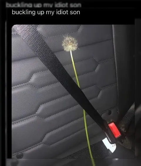 Buckle Up My Idiot Son