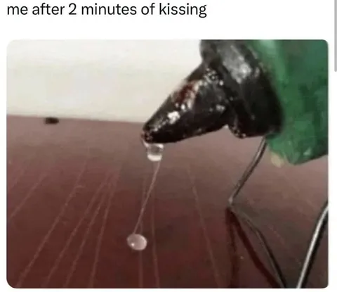 Fly After Two Minutes of Kissing