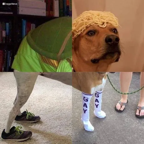 Dog Legs Get Progressively Gayer