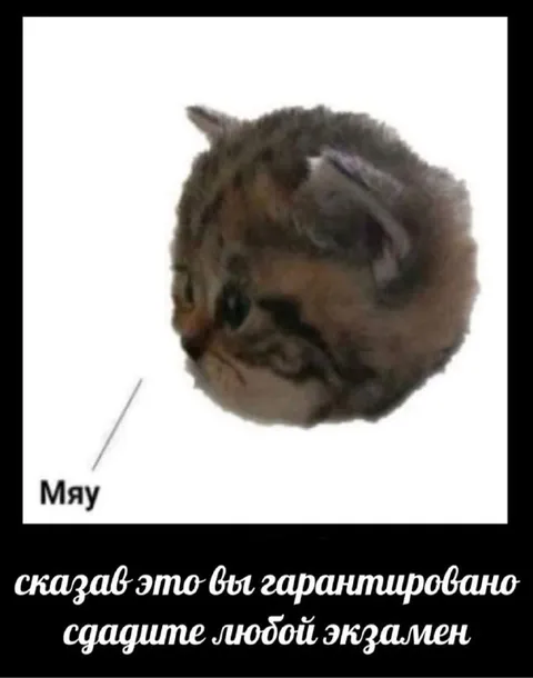 Сказал — гарантированно сдашь экзамен