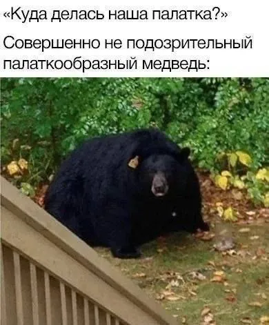 Совершенно не подозрительный медведь