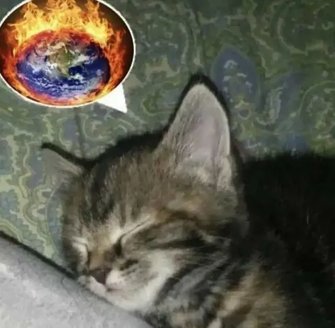 Кот думает о горящей Земле