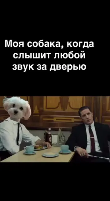 Собака слышит звук за дверью