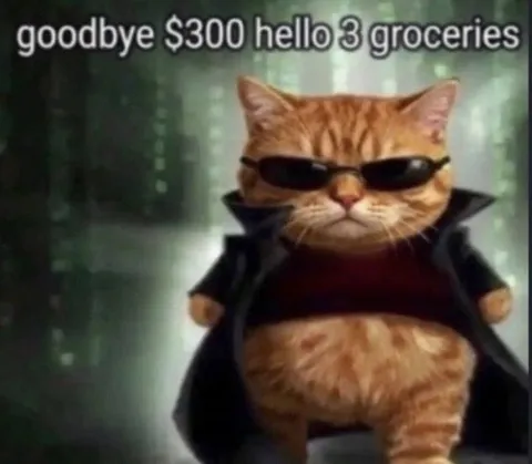 Goodbye $300, Hello Three Groceries