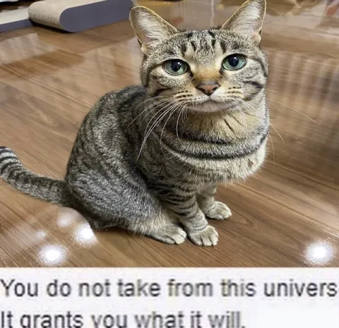 What the Universe Grants
