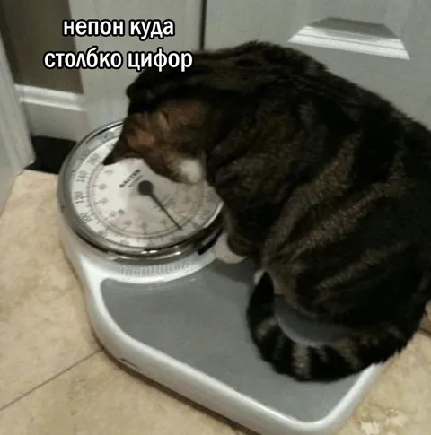 Непон куда столько цифор