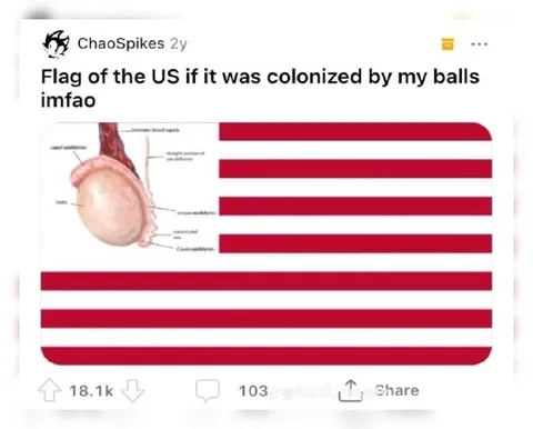 US Flag Colonized by Balls