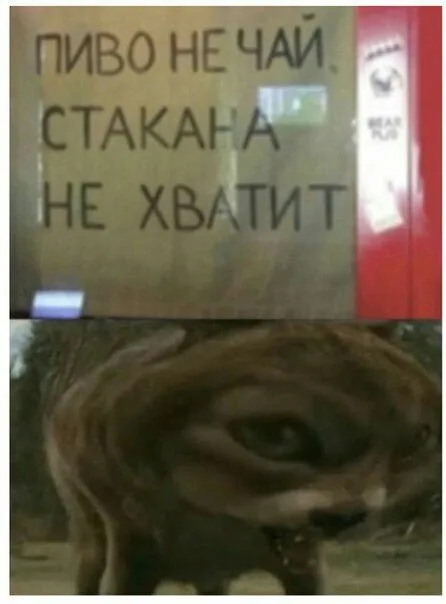 Пиво не чай