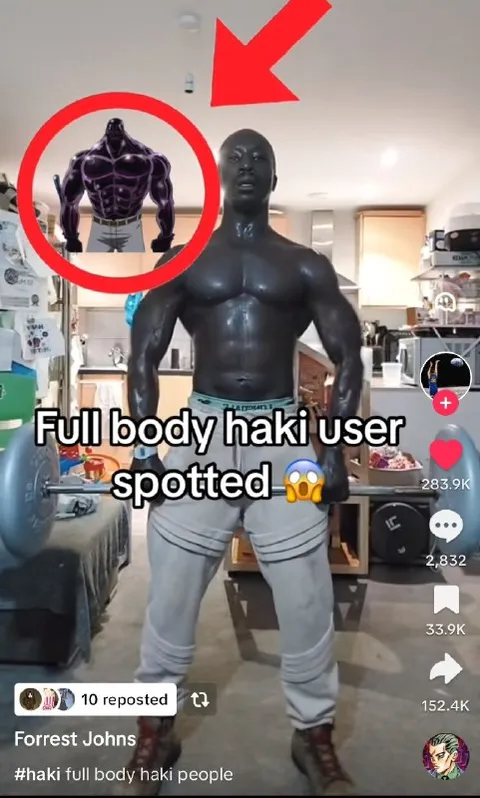 Full Body Haki User Spotted