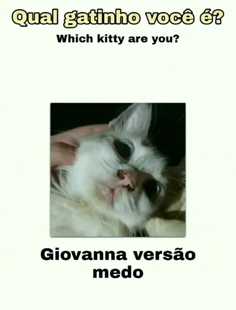 Qual gatinho você é?