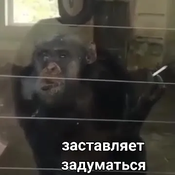 Заставляет задуматься о штрафе