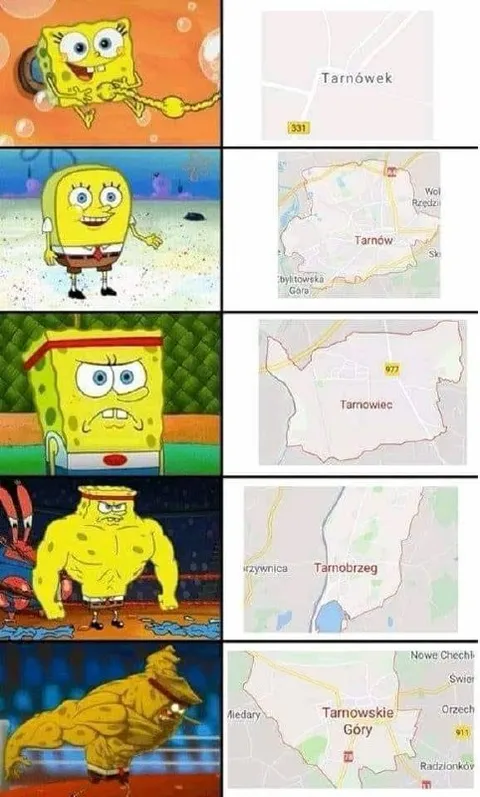 SpongeBob i polskie Tarnowy