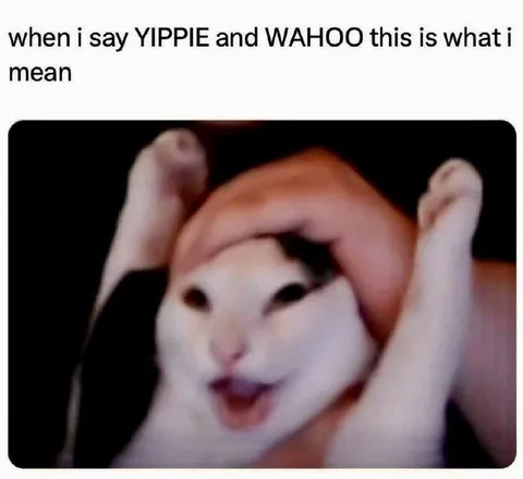 YIPPIE WAHOO Cat Celebration