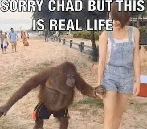 Sorry Chad, This Is Real Life
