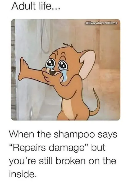 Adult Life Shampoo Breakage
