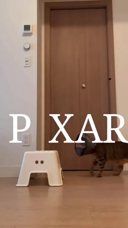 Кот вместо буквы I в Pixar
