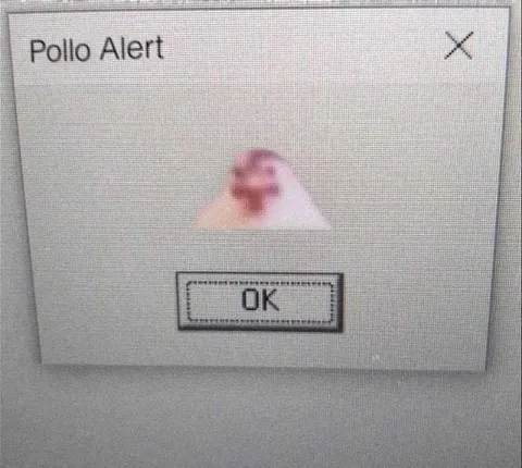 Pollo Alert Chicken Warning