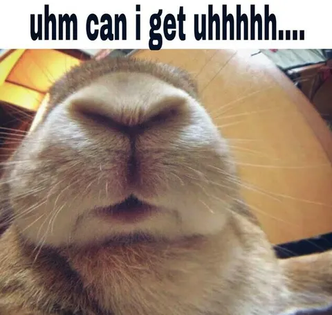Uhm Can I Get Uhhhh
