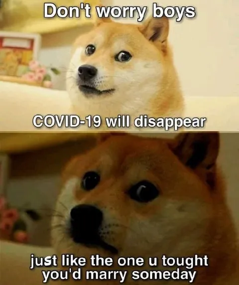 Doge Reassures the Boys